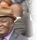 RDC-Politique : Les vétérans de l’UDPS rendent hommage au Feu  Étienne Tshisekedi wa Mulumba